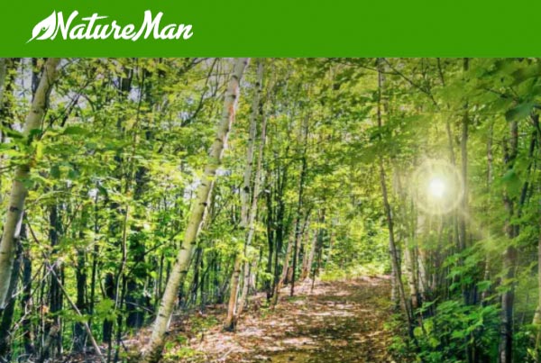 NatureMan